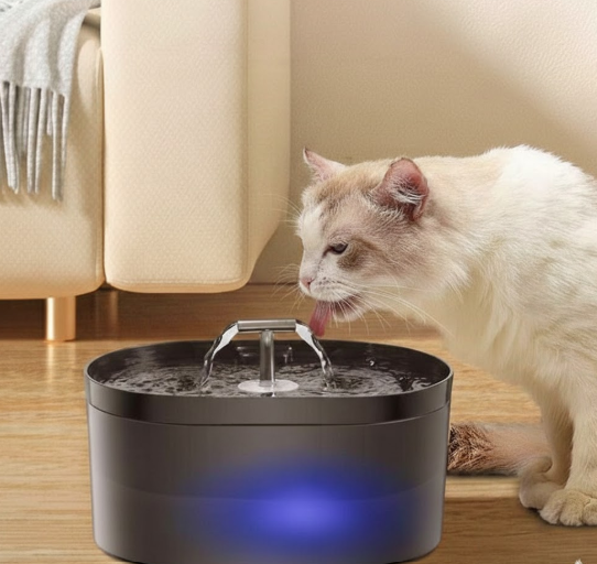 Fontaine à Eau Automatique 2,5 L – Livraison gratuite